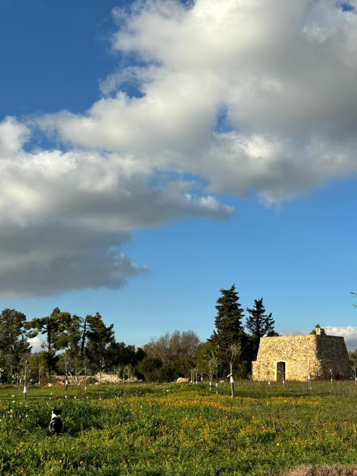 אפרטהוטל טוליה Badia San Michele Pajara Aida מראה חיצוני תמונה