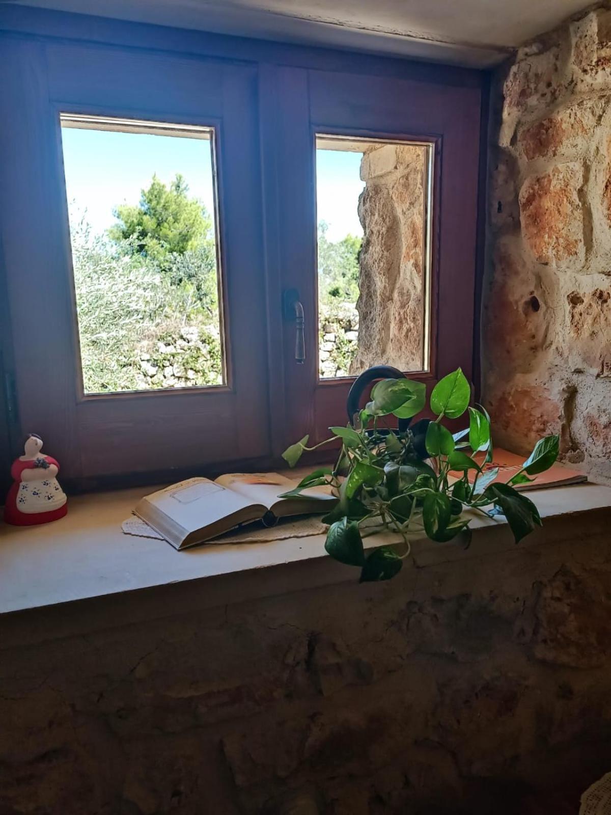 אפרטהוטל טוליה Badia San Michele Pajara Aida מראה חיצוני תמונה